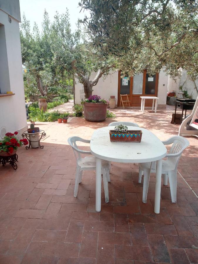 Dhalia Appartamenti Trapani Ngoại thất bức ảnh